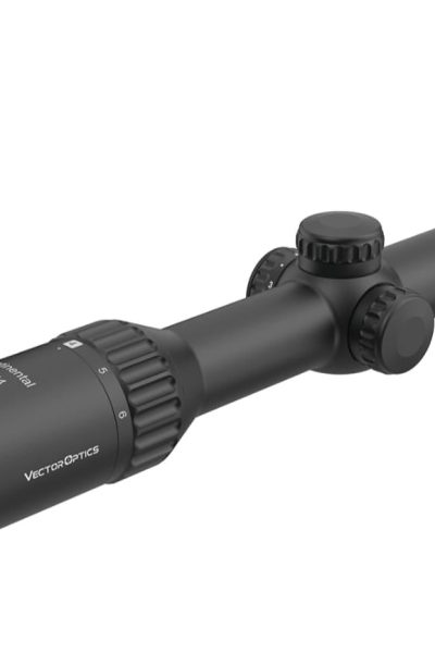 WhatsApp Image 2024-07-14 at 17.29.59 (2)